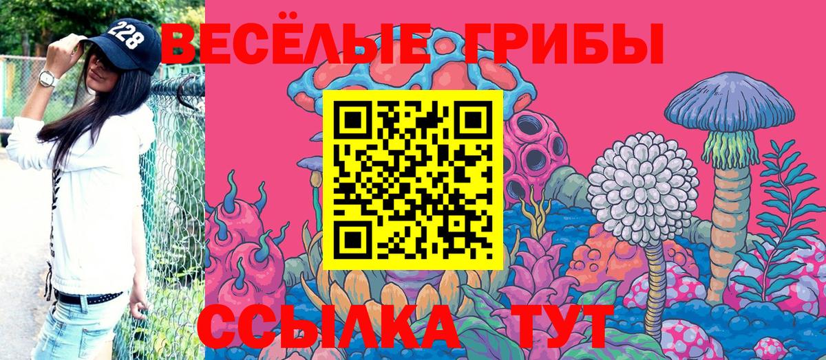 Лесной  Галлюциногенные грибы MAGIC MUSHROOMS  Вход с VPN 