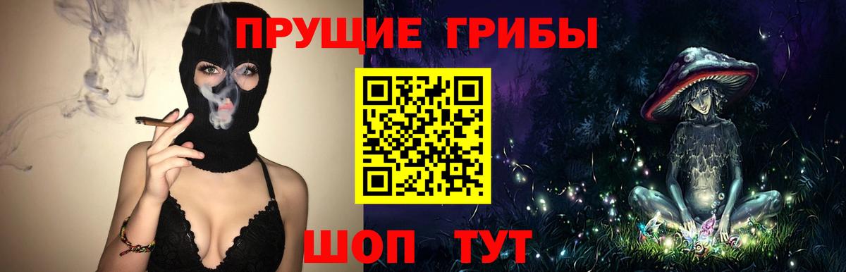 Галлюциногенные грибы мухоморы Лесной